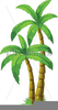 Free Small Palm Clipart Image