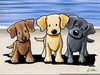 Clipart Of Labrador Image