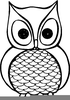 Public Domain Owl Clipart Image