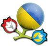 Euro 2012 Ukraine 256 Image