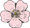 Wild Rose Clip Art