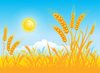 Clipart Fields Of Grain Image