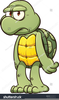 Clipart Snapping Turtle Image