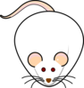 Rat Model Clip Art