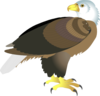 Eagle 18 Clip Art