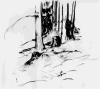 Forest Trees Oberzeiring2004 Clip Art