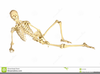 Clipart Human Skeleton Outline Image