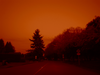 Neighbourhood Street In South Richmond Sepia Colour-enhanced Image