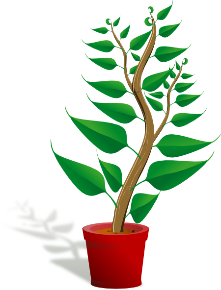 Tall Plant In Pot Clip Art at Clker.com - vector clip art online