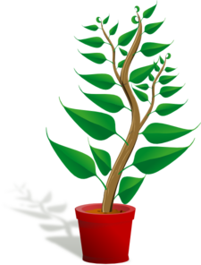 Tall Plant In Pot Clip Art