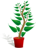 Tall Plant In Pot Clip Art