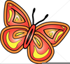 Butterfly Watermark Clipart Image