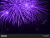 Purple Fireworks Pictures Image