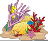 Coral Reef Clipart Border Image