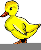Rubber Duckie Clipart Free Image