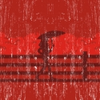 17 Image