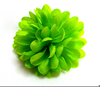 Lime Green Flowers Image