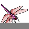 Dragonfly Free Clipart Image