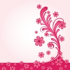 796 1 Image