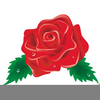 Rose Clipart Free Image