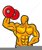 Clipart Man Muscle Image