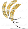 Wheat Or Barley Clipart Image