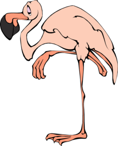 Cartoon Flamingo Clip Art