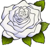 White Rose Clip Art