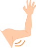 Arm Pit Clip Art