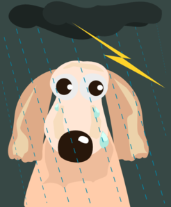 Dog In Storm Clip Art