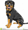 Rottweiler Clipart Image