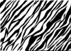 Black And White Zebra Print Background Clip Art