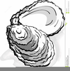 Oysters Clipart Image