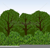Forest Background Clipart Image