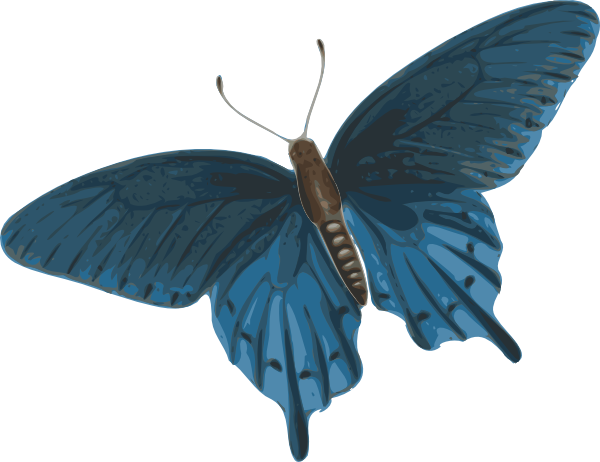 Download Butterfly Clip Art at Clker.com - vector clip art online ...