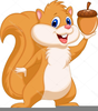 Free Nut Clipart Image