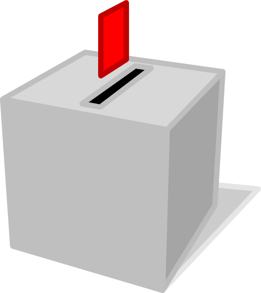 national election standards ballot