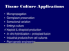 Culture Applications Image