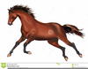 Horse Galloping Clipart Image