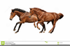Clipart Horses Running Image