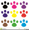 Free Clipart Cat Footprints Image