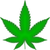 Marijuana Leaf Green Clip Art