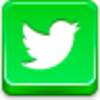 Twitter Bird Icon Image