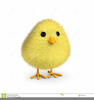 Clipart Easter Chick Image