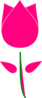 Pink Tulip Clip Art