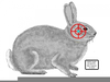Printable Rabbit Targets Image