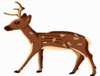 Reindeer Image