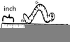 Clipart Inchworm Image