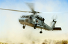 A Hh-60 Seahawk Helicopter Takes Off During A Search And Rescue Exercise As Part Of Desert Rescue Xi, Image