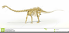 Dinosaur Skeleton Clipart Image
